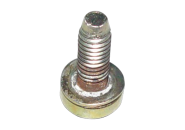 SCREW HEAD WITH GASKET Chery Amulet (A15). Артикул: A15-BJ06501957